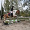 bABIE lATO 2018